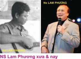 9 Lam Phuong 2
