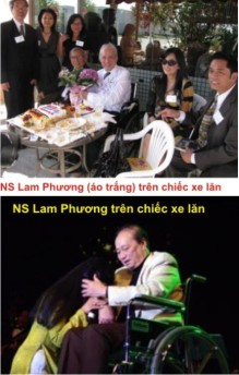 9 Lam Phuong 3